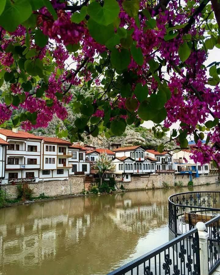 Sehri̇-Zade Yalisi Hotel Amásia Exterior foto